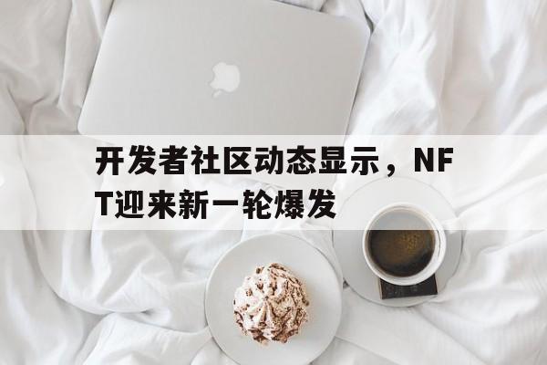 开发者社区动态显示，NFT迎来新一轮爆发的简单介绍